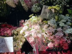 -循礼门鲜花花市(武汉循礼门店)