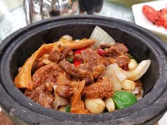 石窝板栗炆牛筋肚-新金盛·海鲜酒楼(盐田店)