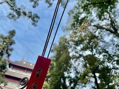 -灵隐飞来峰景区