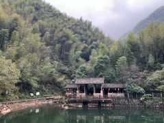 -东白山