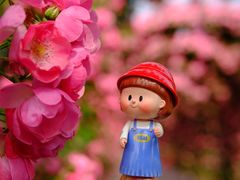 -广富林郊野公园