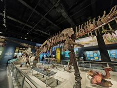 -国家自然博物馆