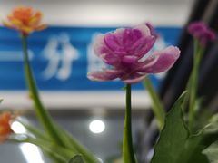 -奔驰利星行(北京花乡店)