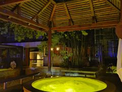 -春晖园度假酒店温泉