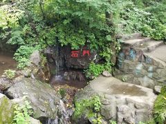 -天女山森林公园