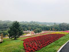 -沈阳植物园