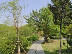 -二一九公园