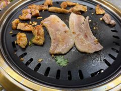 -杨小佳·齐齐哈尔烤肉·烤串(广州店)