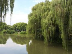 -绍兴鉴湖君澜大酒店