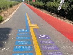 -上海长兴岛郊野公园