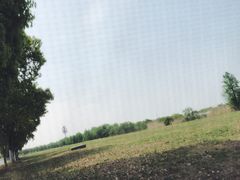 -漕湖湿地公园