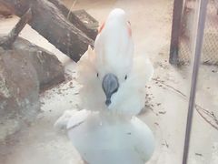 -太原动物园