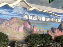 -青藏高原自然博物馆