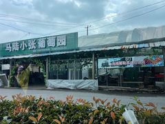 -马陆小张葡萄园农家乐