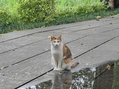 -荔湾湖公园