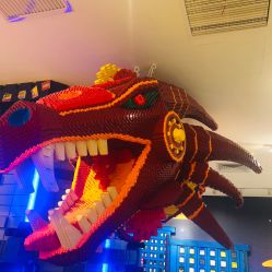 -乐高品牌旗舰店(人民广场店)