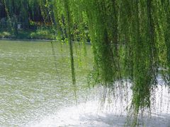 -华东政法大学(松江校区)
