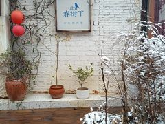 -春树下·树屋花房西餐厅(罍街AS1980店)