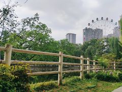 -塔子山公园