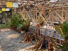 -陆地游轮吉林神农温泉