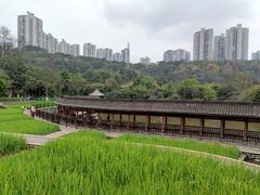-龙头寺公园