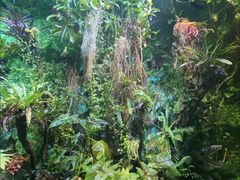 -太平洋海底世界