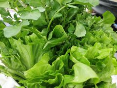 -江海酒家(赤岗店)