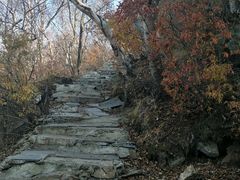 -野三坡百草畔景区