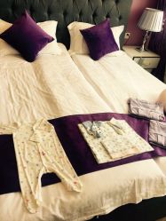 -海豚湾高端月子会所(黄浦店)