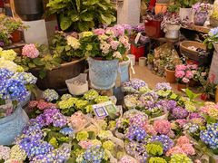 -双季花艺园艺市场(浦东店)