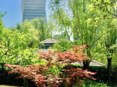 -新虹桥中心花园