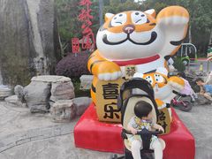 -合肥滨湖国家森林公园