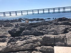 -黑石礁公园