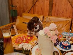 -the rug 飞毯 (朝阳公园店)