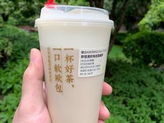 清欢乌龙宝藏茶-奈雪的茶(红谷滩万达广场店)