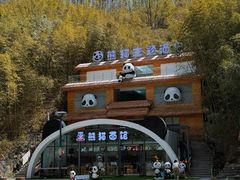 -栾川竹海野生动物园