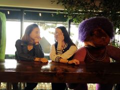 -济州岛泰迪熊博物馆