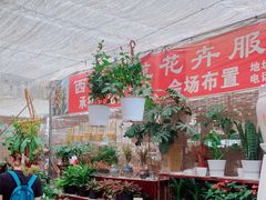 -秦美花卉(天朗·莱茵小城2期店)