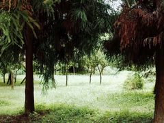 -贵阳市花溪国家城市湿地公园