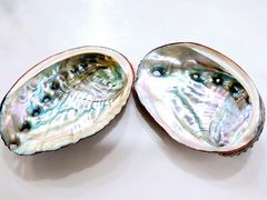 -榕记(番禺总店)