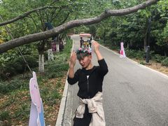 -金鸡湖桃花岛