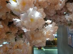 -九田家黑牛烤肉料理(太阳宫广场店)