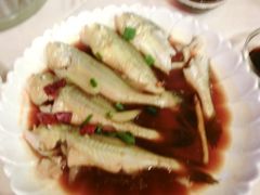 梅鱼-沈家门海鲜夜排档(东港店)