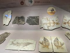 -长江文明馆