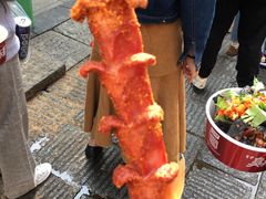 -黑色经典臭豆腐·湖南特产(坡子街特产局店)