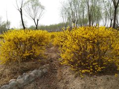 -东郊湿地公园