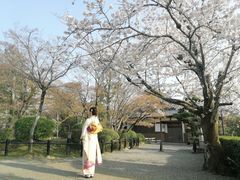-樱京和服租赁体验(京都总店)