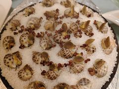 -华盛丰温州大排档(东三环南路店)