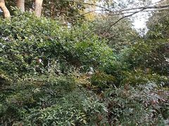 -杭州西湖风景名胜区-章太炎纪念馆