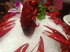 -京悦南门涮羊肉·羊蝎子火锅(田林路店)